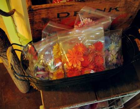 1127flowers.jpg