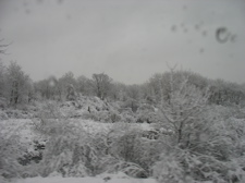 118snow3.jpg