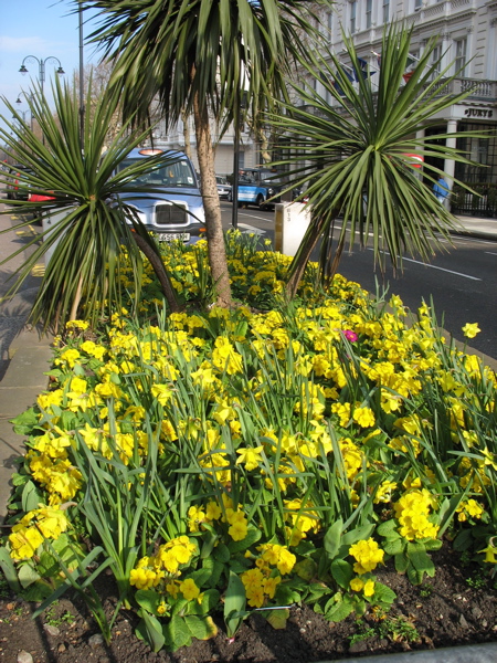 225flowers.jpg
