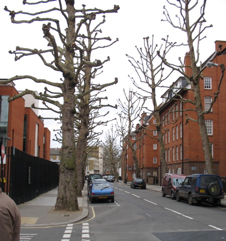227tree2.jpg